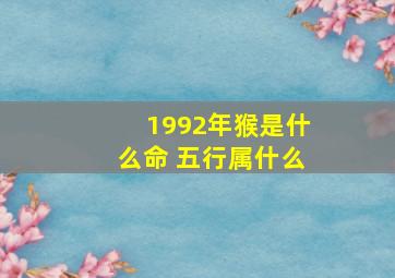 1992年猴是什么命 五行属什么